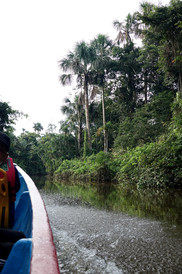 厄瓜多尔游记图片] 南美四国摄影行之二:    走入亚马逊热带雨林