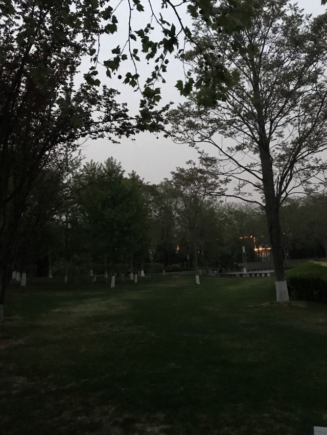 阳光星期八公园旅行图片 4