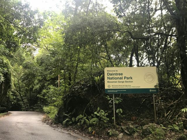 Daintree Rainforest