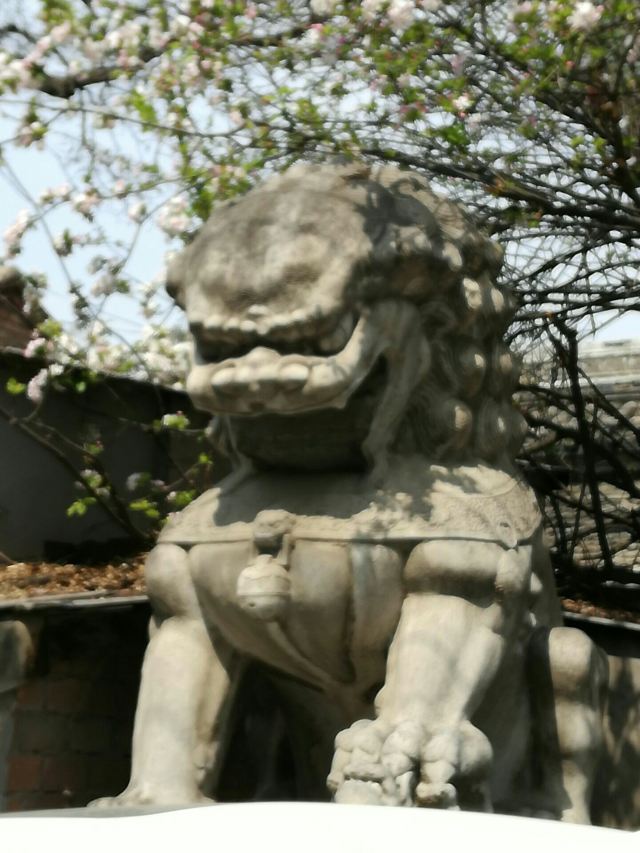 孚王府(不对外开放)旅行图片 1