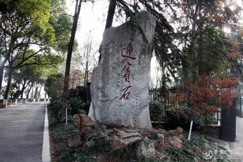安庆市菱湖风景区旅行图片 2