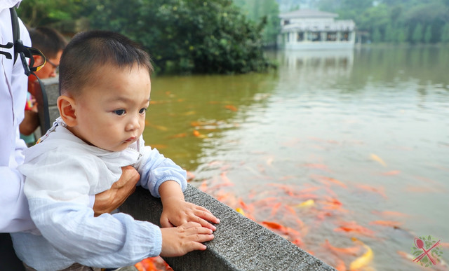 来广州旅游必做这些事，还要住在有薰衣草的地方