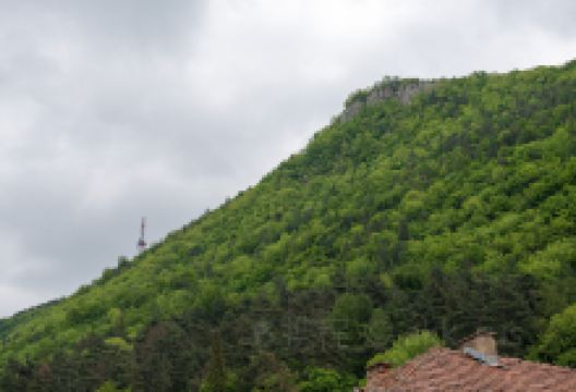 坦帕山景点图片