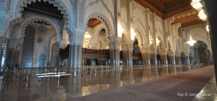 Al Masjid E Nabawi Travel Guidebook Must Visit Attractions