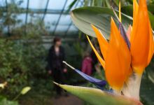 Manor Heath and Jungle Experience景点图片