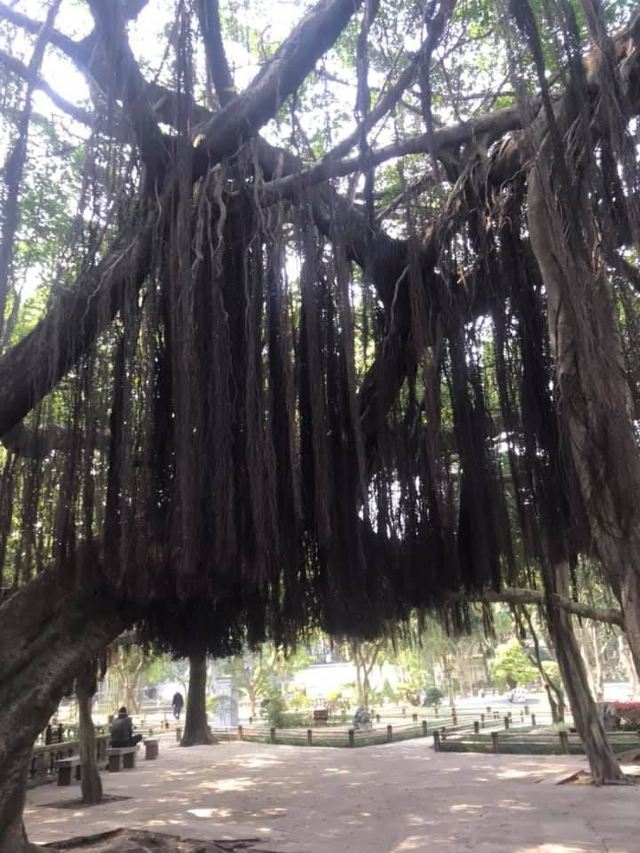 西禪寺