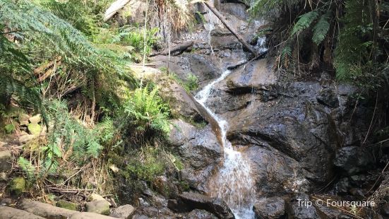 Warburton Waterwheel Travel Guidebook Must Visit Attractions In