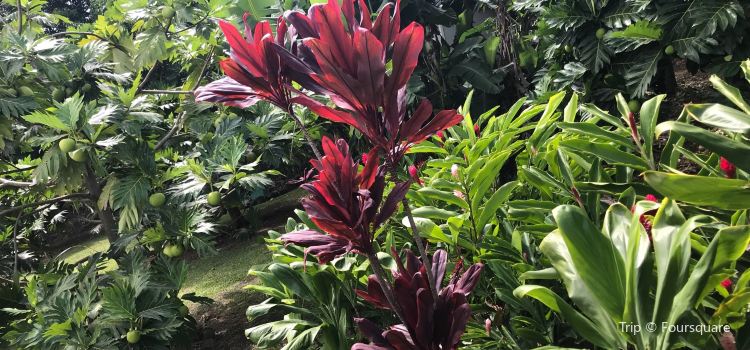 Moli I Gardens Travel Guidebook Must Visit Attractions In Oahu