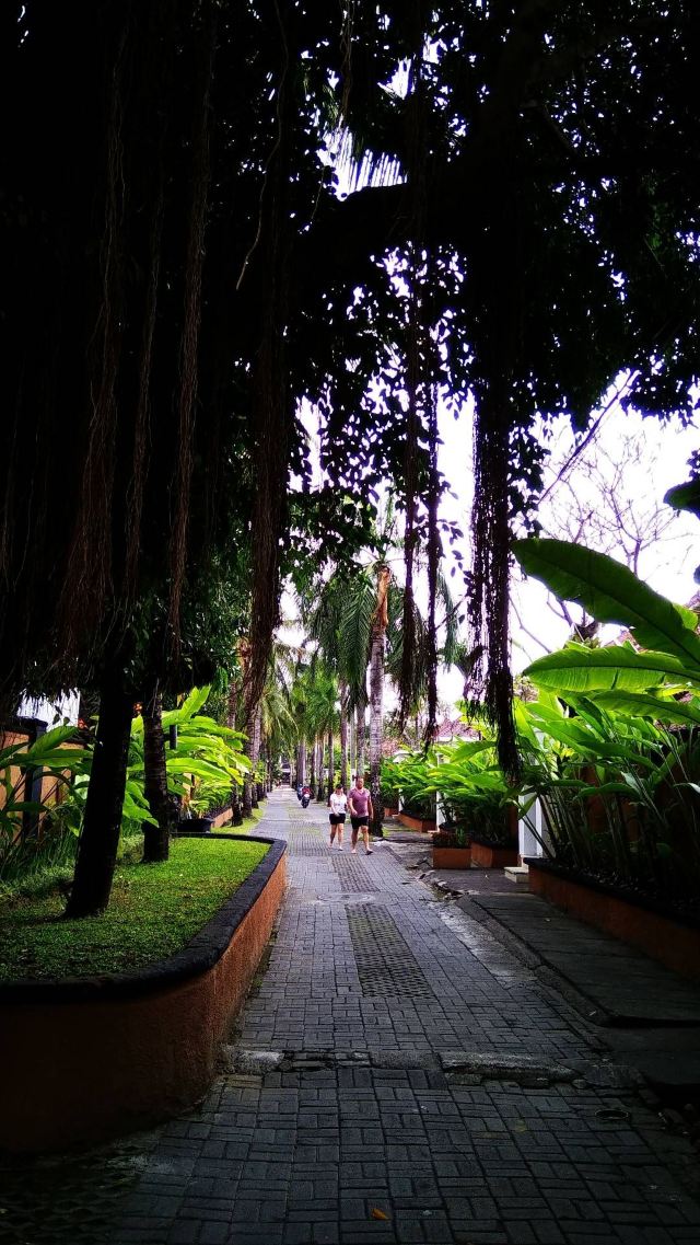 常熟石板街攻略,常熟石板街门票/游玩攻略/地址/图片/门票价格【携程