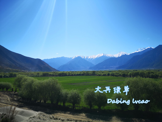 大兵绿草2019春自驾西藏、穿越阿里游记5——西藏江南（二）
