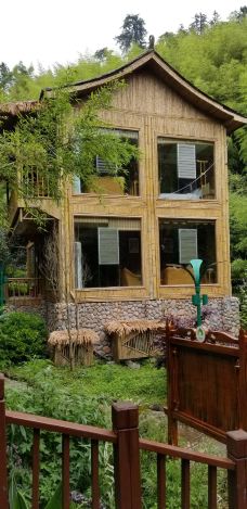 大洞竹海-盘州-反放爱自由