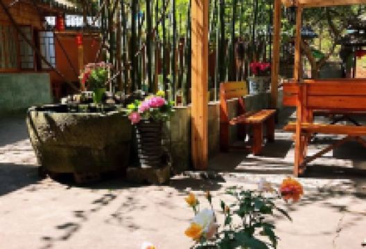 稻香村苦笋鸡美食图片