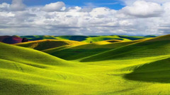 呼伦贝尔游记图片] 呼伦贝尔草原有几种颜色？我会告诉你，是五颜六色