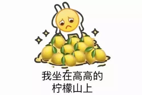 明星婚禮最愛選的海島勝地,郵輪都能帶你去!| 七夕大型虐狗現場