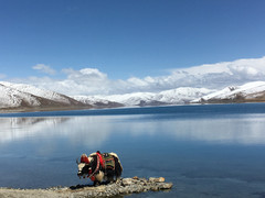 浪卡子游记图片] 最美羊湖，西藏之旅完美结束-Day11