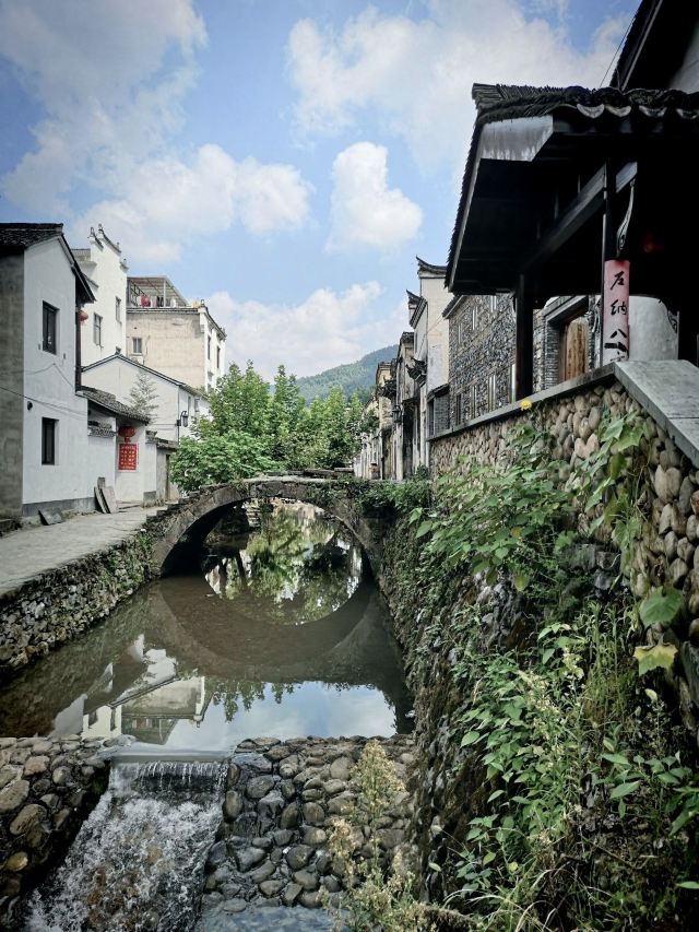 芹川村