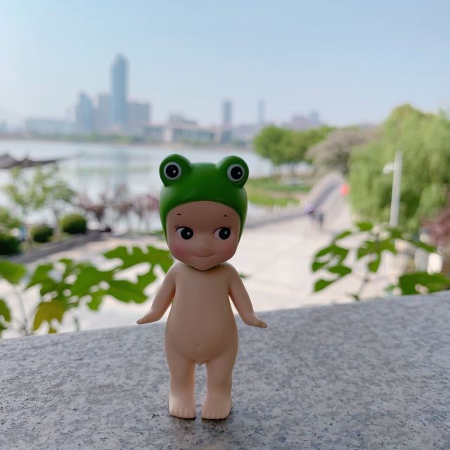 琴台小森林旅行图片 9