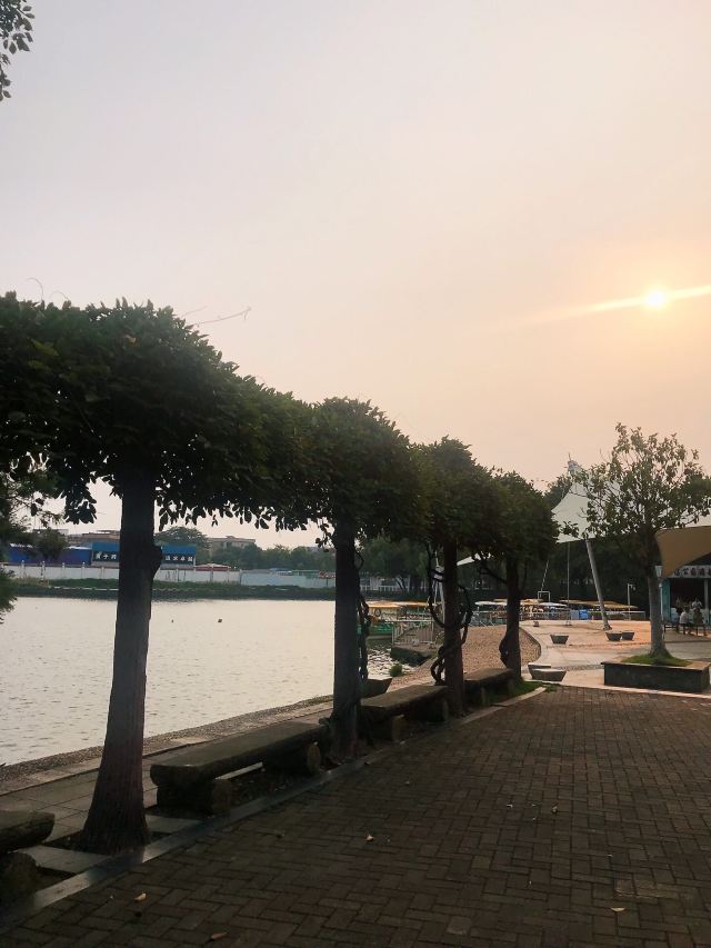 北滘公园旅行图片 4