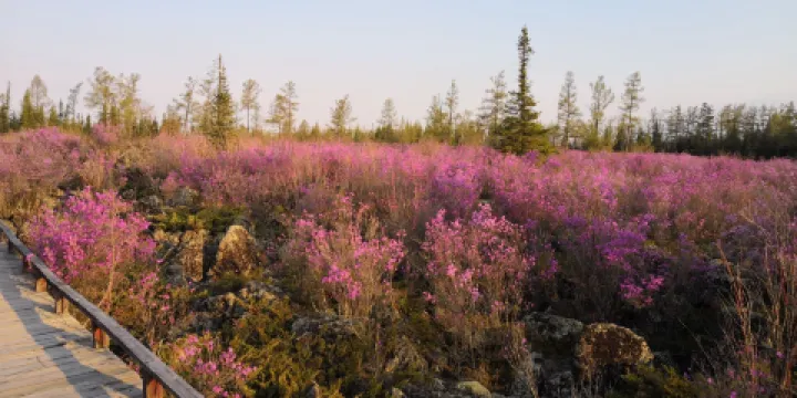 紅星火山地質公園