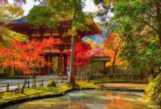 室生寺景点图片