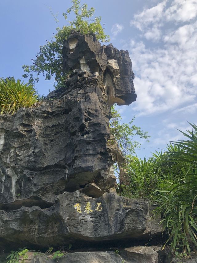 Shijinglin Sceneic Area