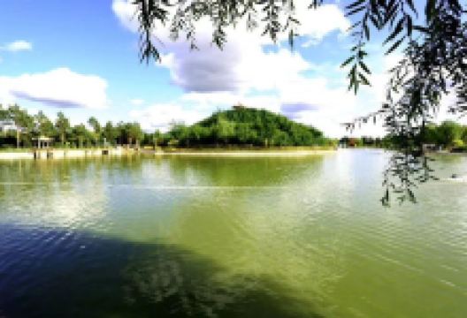 依安植物园景点图片