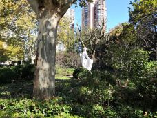 和平公园-上海-BetTerDAY