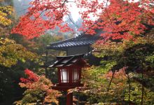 锹山神社景点图片