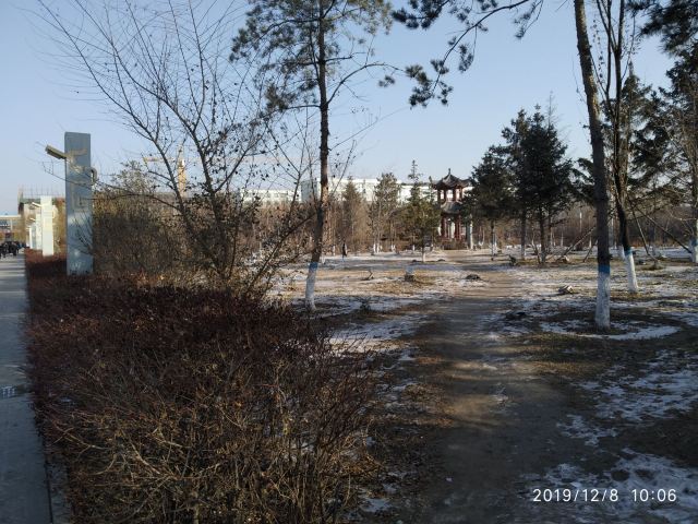 农安辽塔旅行图片 4