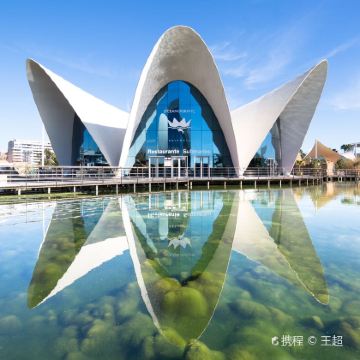 马德里+塞哥维亚+巴伦西亚省+巴塞罗那+滨海托萨8日7晚私家团