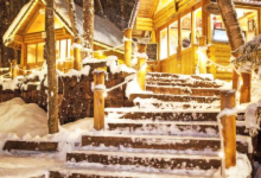 带广旅游图片-6日札幌+占冠村+旭川+富良野·企鹅漫步+雪景温泉