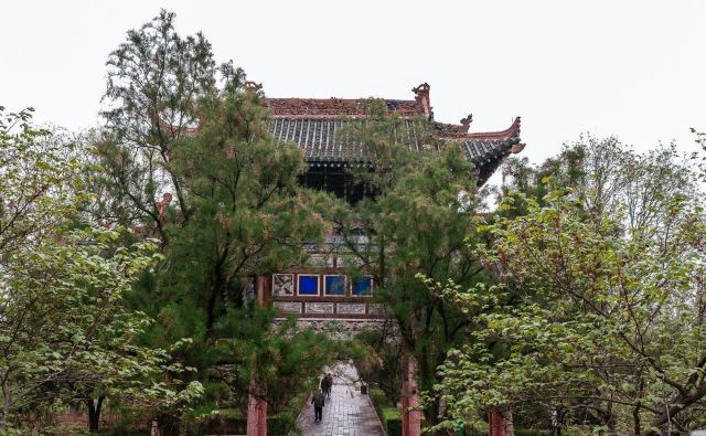 文峯木塔旅行图片 3