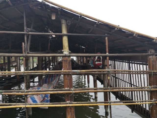 华阳湖国家湿地公园旅行图片 9