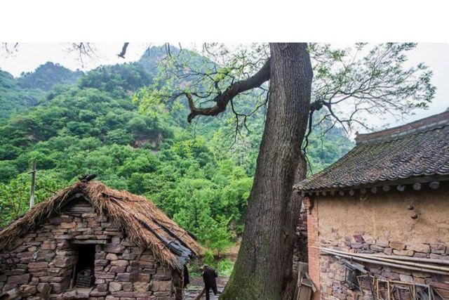 漆桥古村落旅行图片 2