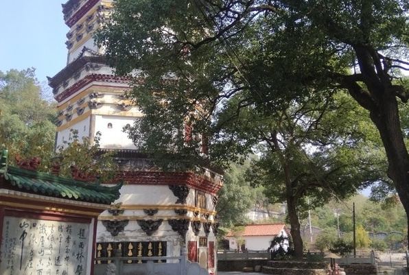 庐山西林寺旅行图片 3