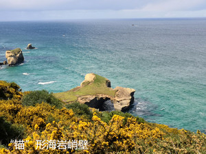 南岛游记图文-隧道海滩之父爱无----新西南之行3