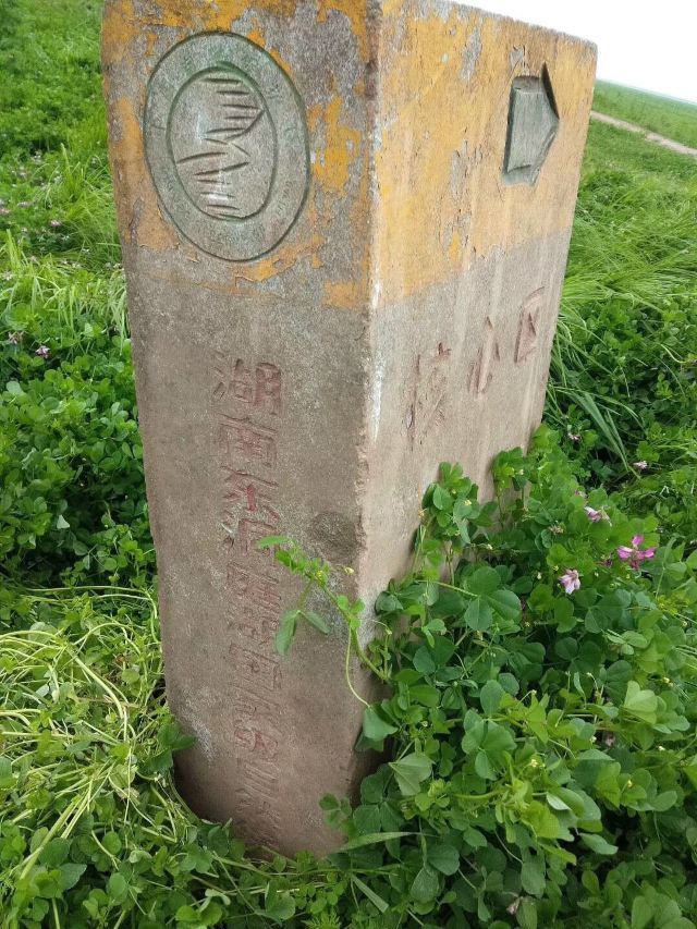 东洞庭湖国家级自然保护区旅行图片 6