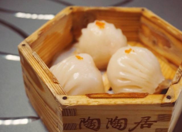 Tou Tou Koi (Zhengjia Plaza)