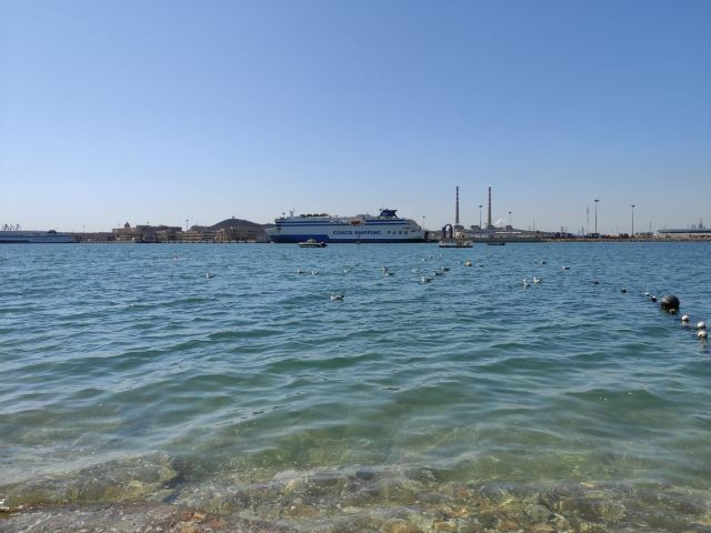 滨海公园旅行图片 1