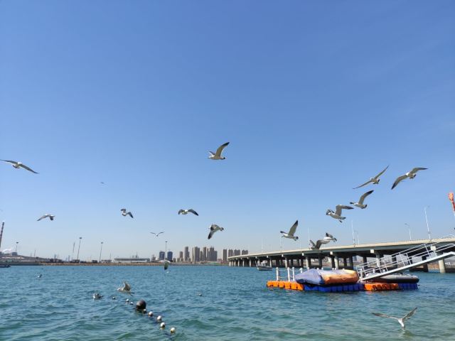 滨海公园旅行图片 3