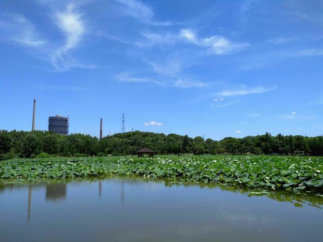 南湖景区旅行图片 4