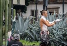 宪法广场-墨西哥城-破之殇