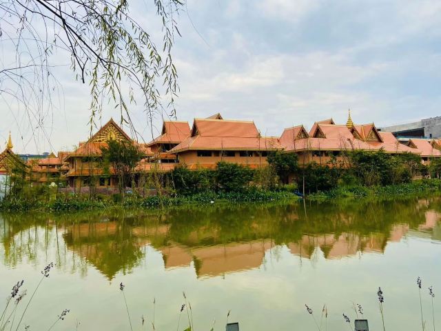 华阳湖国家湿地公园旅行图片 9