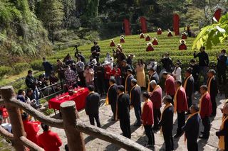 “喊山祭茶”咯！武夷山邀你开启一段寻茶漫游之旅