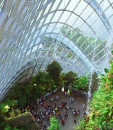 云雾林-新加坡-YoYo_2R0B6P5O