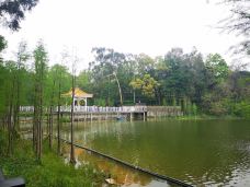 天鹿湖森林公园-广州-lilysuun