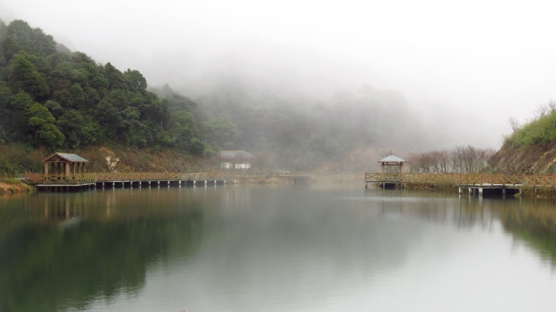 流溪河国家森林公园景点图片 3