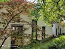 梅园公园-上海-Princesstt