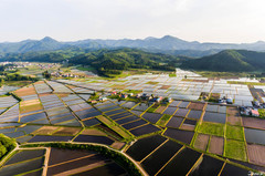 东北地方游记图片] 东北游玩指南：寻找日本北边最美的片刻