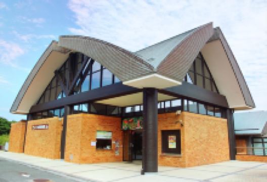 体感型动物园iZoo景点图片